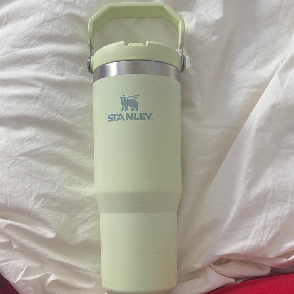 Stanley Light Green Travel Mug